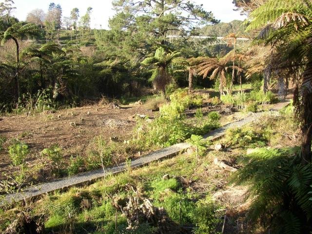 Lower area before planting. June 2004. Cambridge Tree Trust